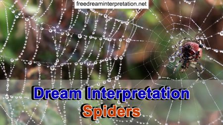 Dream Interpretation Spiders
