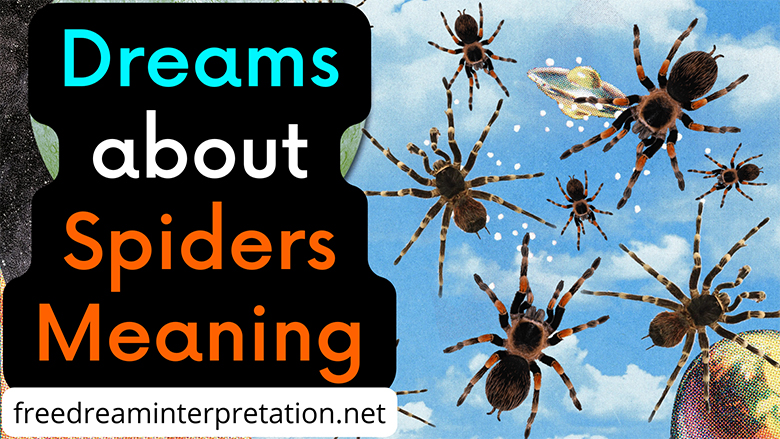 seeing spiders in your dreams